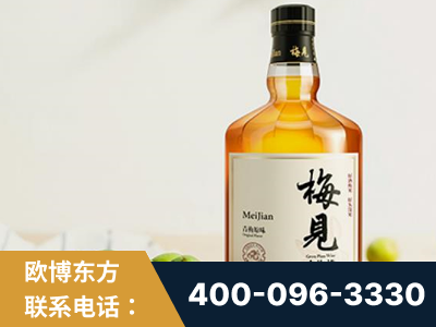 嵊州-梅见青梅酒